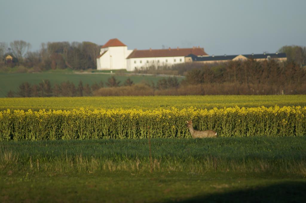 Lokken Farm Holiday Szoba fotó